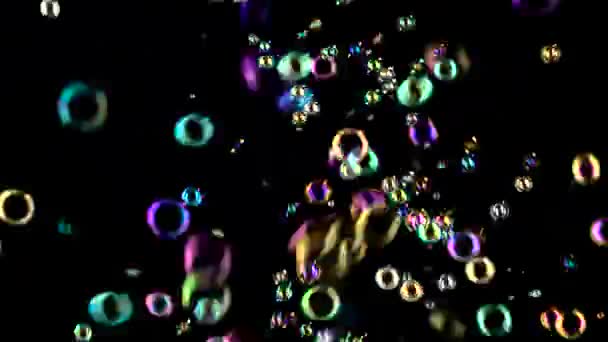 Мыльные пузыри начинают летать из центра и лопаются. Чёрные обратные раунды — стоковое видео