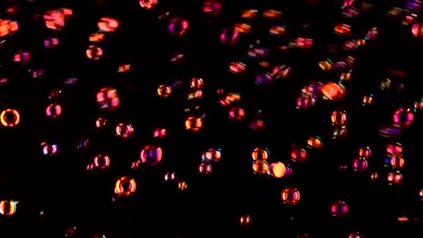 Soap bubbles of red color fly . Black background — Stock Video