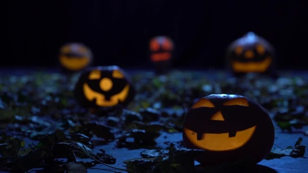 Calabazas asustadizas en Halloween en el bosque oscuro están ardiendo como linternas — Vídeo de stock