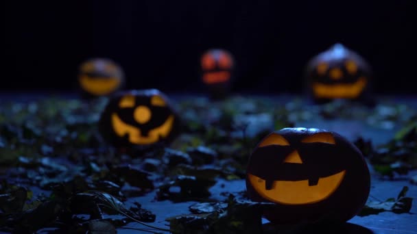 Halloween-Kürbisse leuchten im Wald mit schrecklichen Gesichtern, der Wind bläst Laub — Stockvideo