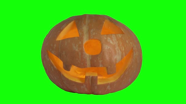 Scary muzzle pumpkin for halloween. Green screen — Stock Video