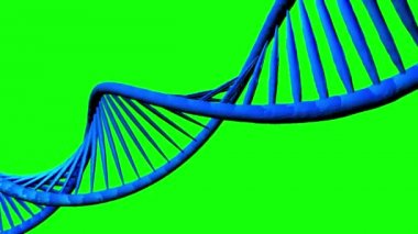 Dijital holografik kırmızı dna. Yeşil ekran