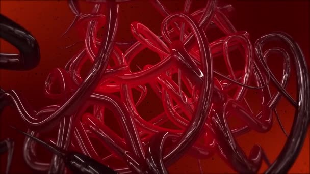 Small blood vessels. Red background — Stock Video
