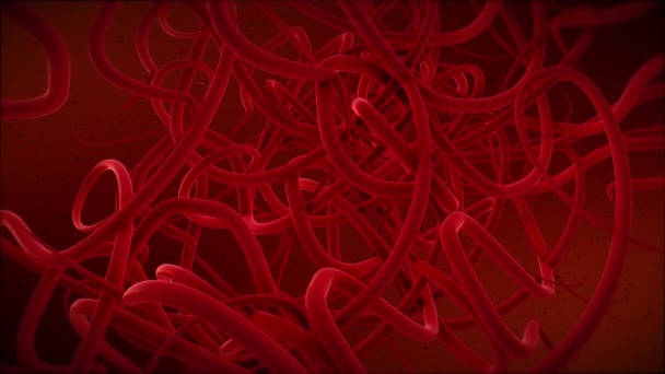 Small blood vessels. Red background — Stock Video