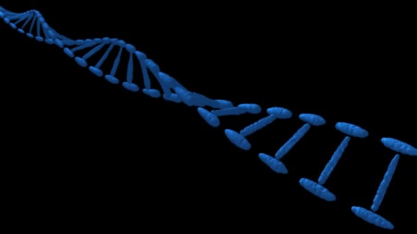 Цифровая голографическая красная ДНК. Красный фон — стоковое видео