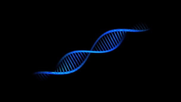 DNA-strengen zijn samengesteld uit afzonderlijke elementen. Zwarte achtergrond — Stockvideo
