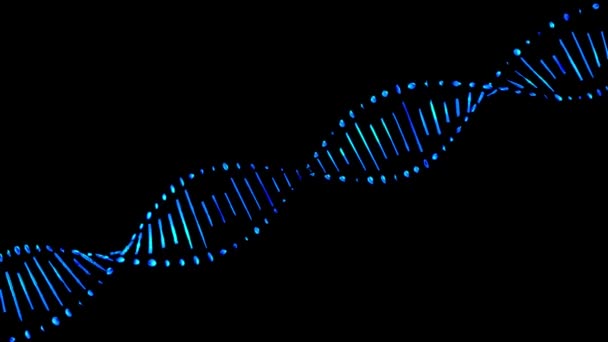 Las hebras de ADN se ensamblan a partir de elementos individuales. Fondo negro — Vídeo de stock