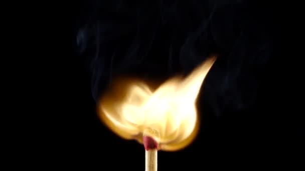 Matchstick verlichting en branden tot het einde op zwarte achtergrond. Slow motion — Stockvideo