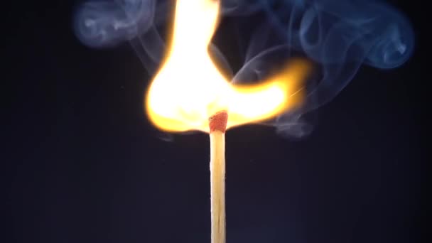 Striking match and burning on black background. Slow motion — Stock Video