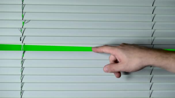 手を開き、ブラインド。緑色の画面 — ストック動画
