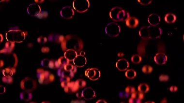 Sabun köpüğü kırmızı renk sinek. Ağır çekim. Siyah arka plan