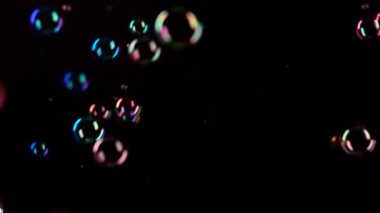 Renkli sabun köpüğü sinek. Ağır çekim. Siyah arka plan.