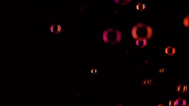 Красные мыльные пузыри летят в воздухе. Медленное движение. Чёрный фон — стоковое видео