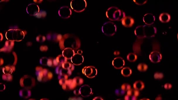 Mýdlové bubliny červené barvy létat. Zpomalený pohyb. Černé pozadí — Stock video
