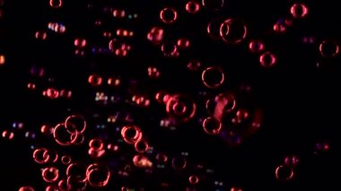 Sabun köpüğü kırmızı renk sinek. Ağır çekim. Siyah arka plan