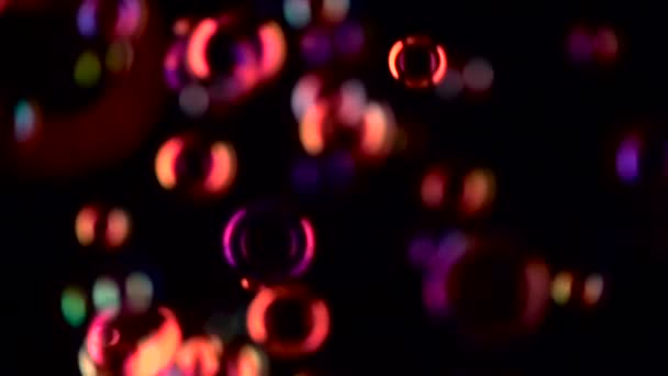 Красные мыльные пузыри летят в воздухе близко. Медленное движение. Чёрный фон — стоковое видео