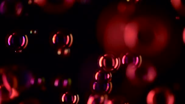 Soap bubbles of red color fly close up. Slow motion. Black background — Stock Video