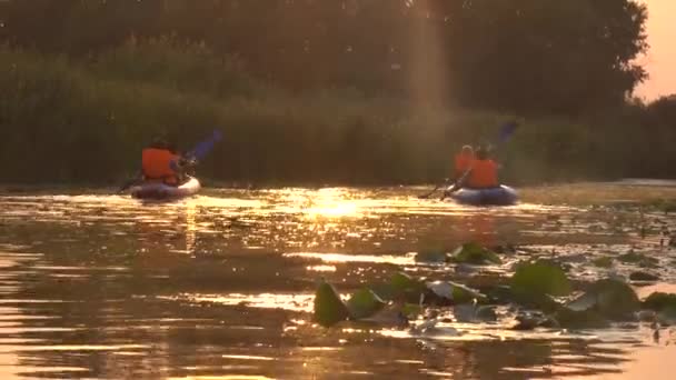 Dos kayaks con gente remando remos al atardecer — Vídeo de stock