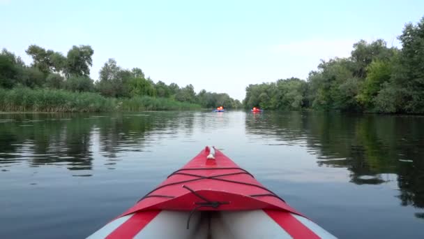 Sestup Řece Kajacích Mezi Zelené Křoví Pohled Nosu Lodi Zpomalený — Stock video