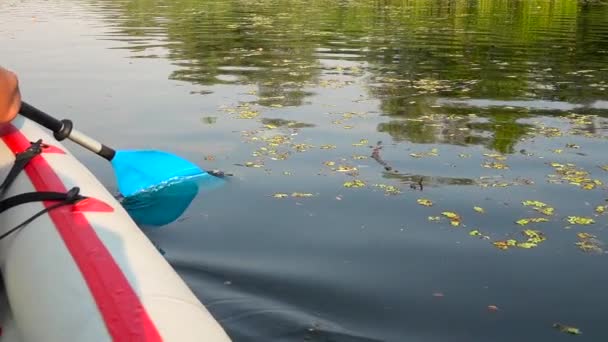 Gros plan du bras de Mans en kayak avec pagaie. Mouvement lent — Video