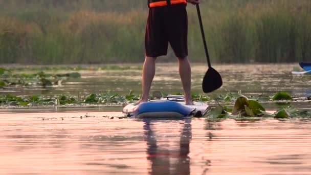 Persoon stand-up paddle board op een opblaasbare raft en peddels langs de rivier bij zonsondergang. Slow motion — Stockvideo