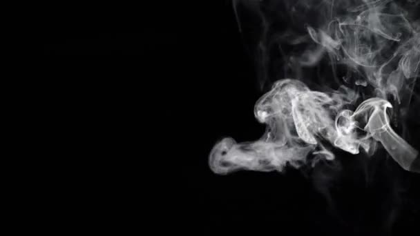Дым плавает на черном фоне — стоковое видео