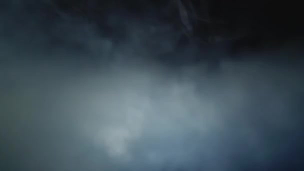 真正的现场行动烟雾在黑色背景 — 图库视频影像