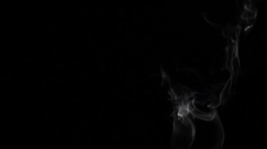 Siyah arka plan karşı uzayda yüzer duman. Ağır çekim