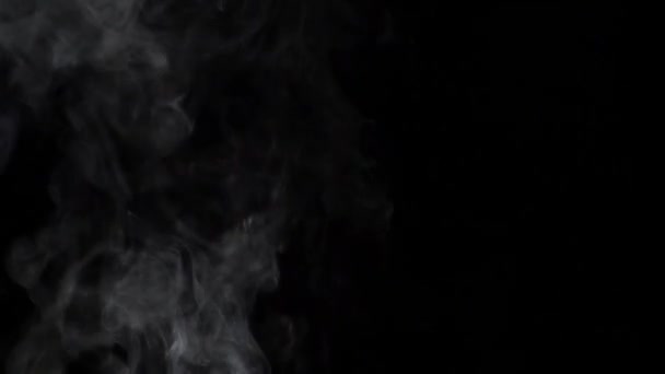 Nube de humo de cigarrillo sobre fondo negro. Movimiento lento — Vídeos de Stock
