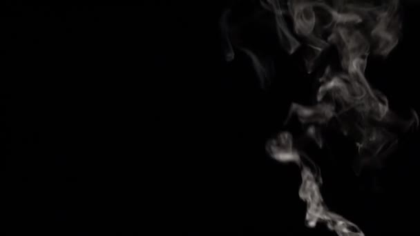 Humo blanco posicionado verticalmente sobre fondo negro. Movimiento lento — Vídeo de stock