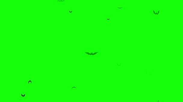 Silhouet van vleermuizen vliegen om te vullen het scherm computeranimatie. Groen scherm — Stockvideo