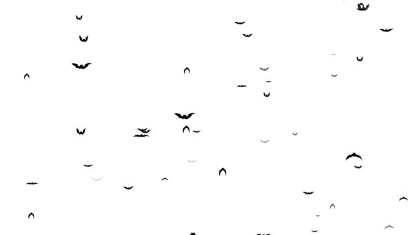 Bats silhouette flying to fill the screen computer animation. White background — Stock Video