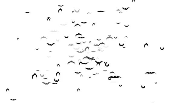 Latające nietoperze na białym tle animacji — Wideo stockowe