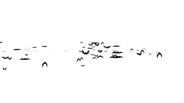 Murciélagos voladores halloween fondo blanco — Vídeo de stock