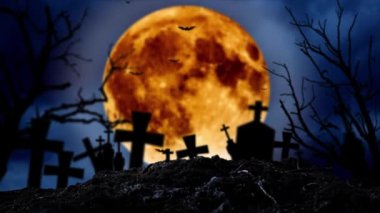 Ay mezarlıkta parlıyor bulunduğu aşar ve yarasalar sinek