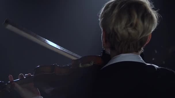 Girl backs to the camera plays the violin. Black smoke background — Stock Video