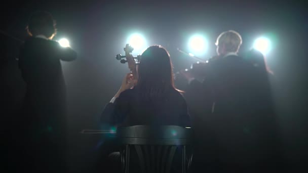 Quartett spielt Musikinstrumente. Rückseite. Silhouette. schwarzer Rauch Hintergrund — Stockvideo