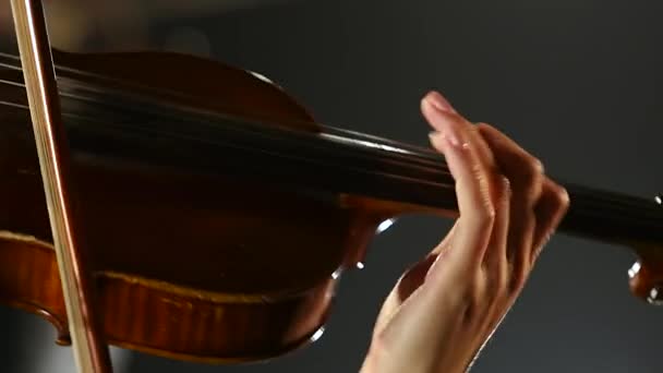 Una donna si inchina sulle corde di un violino. Fondo nero fumo. Da vicino. — Video Stock