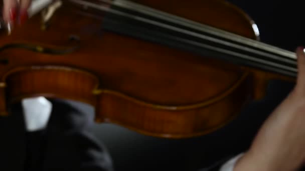 Violoniste se produit sur un violon dans un studio de fumée noire. Gros plan — Video