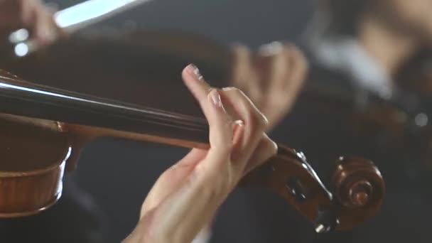 Musical group performs on stage close up of the violin. Black smoke background — 图库视频影像