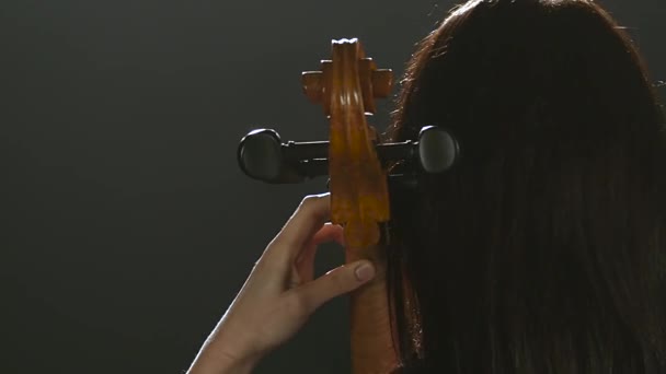 Musicien dos à la caméra joue du violoncelle. Fond de fumée noir — Video