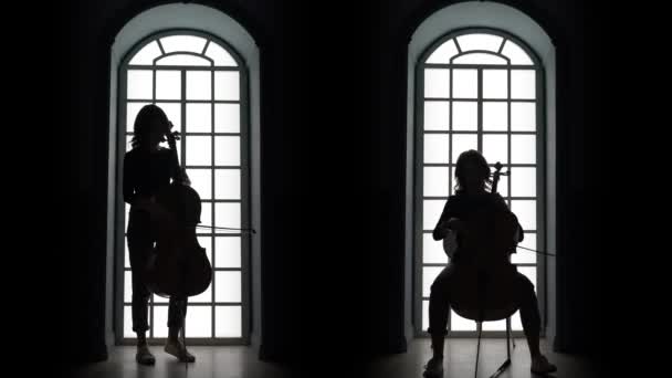 Violoncelliste jouant une composition musicale le soir contre la fenêtre. Silhouette — Video