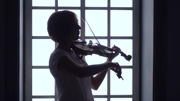 Na pozadí okna dívka hraje na housle. Silueta — Stock video
