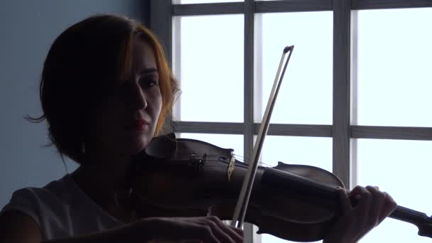 Девушка держит скрипку, играющую на ней, прижав аккорды бантом к окну. Силуэт — стоковое видео