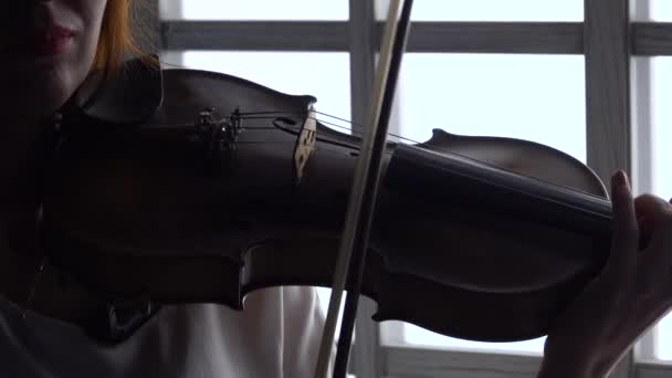 Violoniste une composition musicale sur un violon sur le fond de la fenêtre. Gros plan — Video