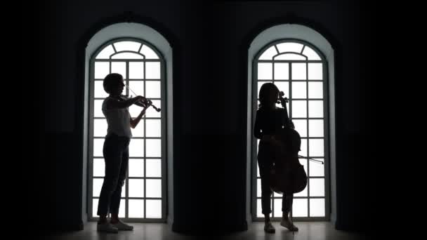 Violoncelista e violinista tocando uma composição musical. Silhueta — Vídeo de Stock