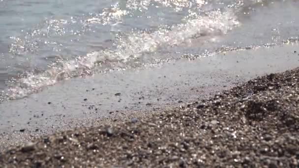 Deniz kıyısında closeup kabukları Kum Plajı üzerinde — Stok video