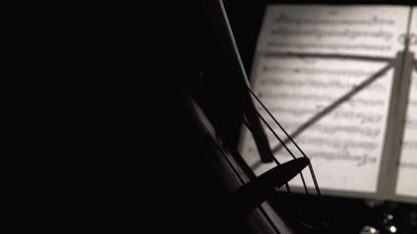 Cello close up van bogen dragen op de achterkant van de bladen van de tekenreeks met notities. Zijaanzicht — Stockvideo
