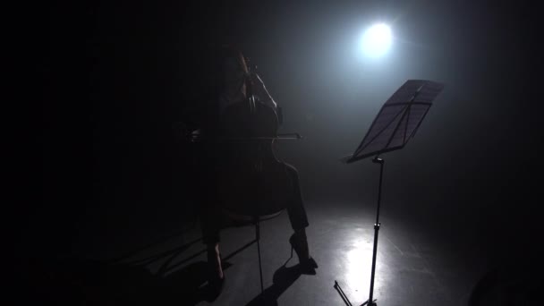 Chica tocando el violonchelo durante el concierto en la habitación oscura. Silueta. Fondo de humo negro. Vista lateral — Vídeos de Stock