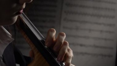 Çello closeup notlar yaprak ile. Yakın çekim. Yan görünümü. Ağır çekim